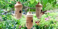 Why Everyone's Talking About Wooden Hummingbird Houses?